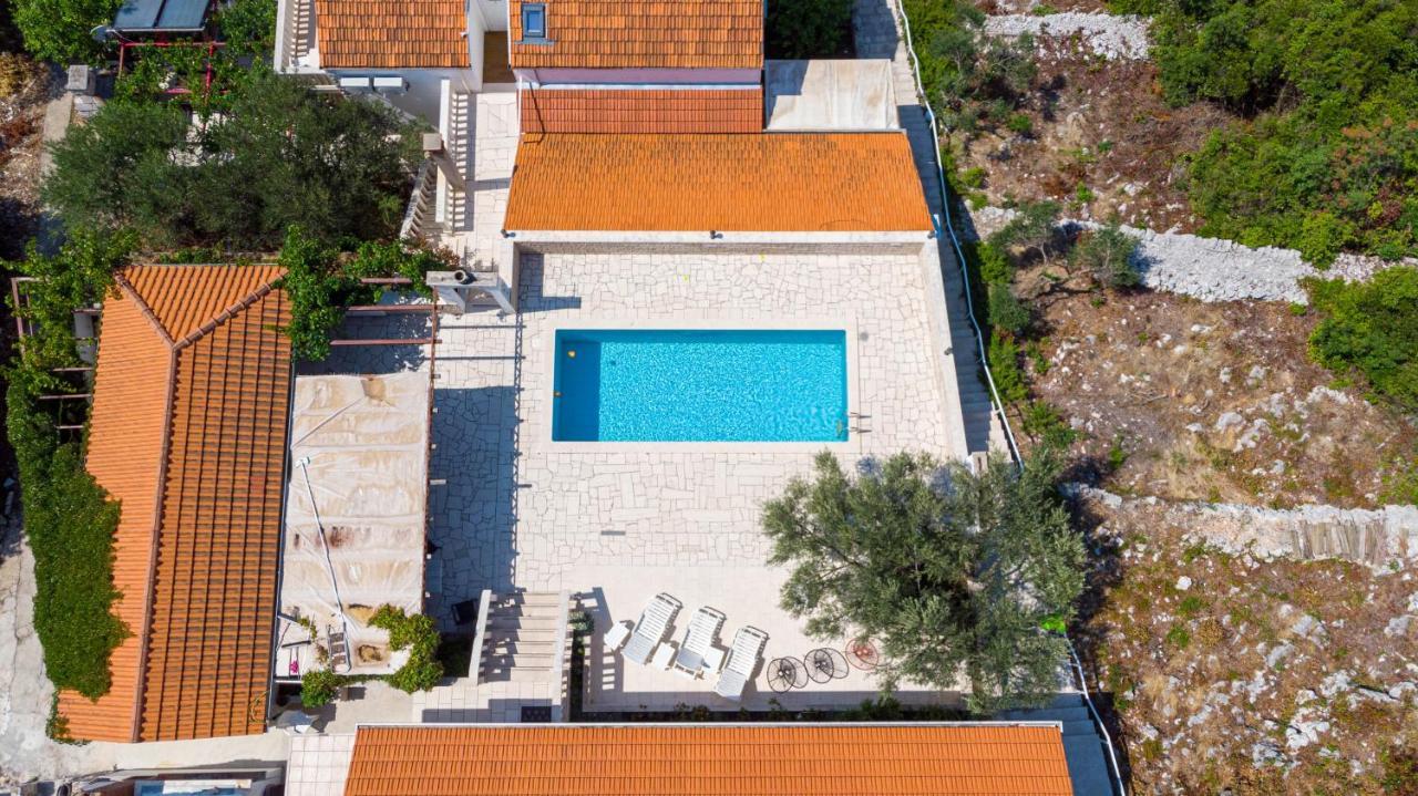 Villa Castello Zrnovo Ngoại thất bức ảnh